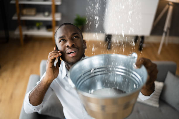 Best Ceiling water damage repair  in Santa Teresa, NM
