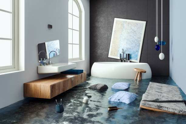 Professional Water damage restoration in Santa Teresa, NM
