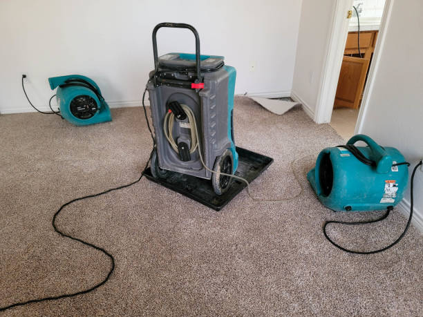 Best 24-hour water damage restoration  in Santa Teresa, NM