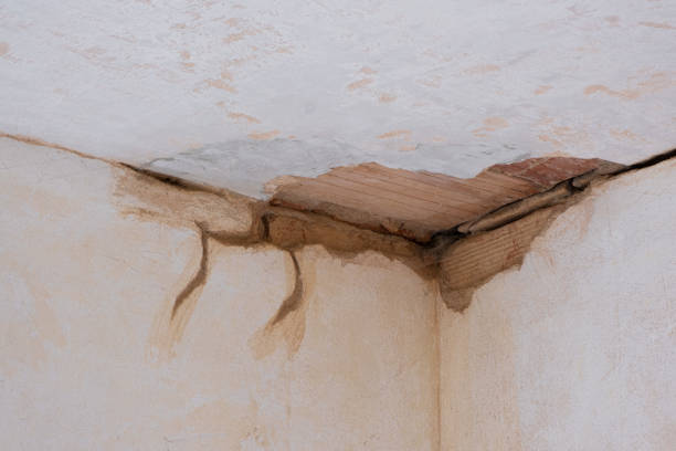 Best Fire Damage Restoration  in Santa Teresa, NM