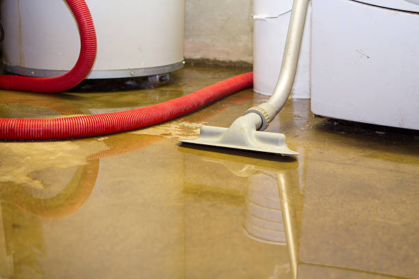 Best Water damage contractors near me  in Santa Teresa, NM