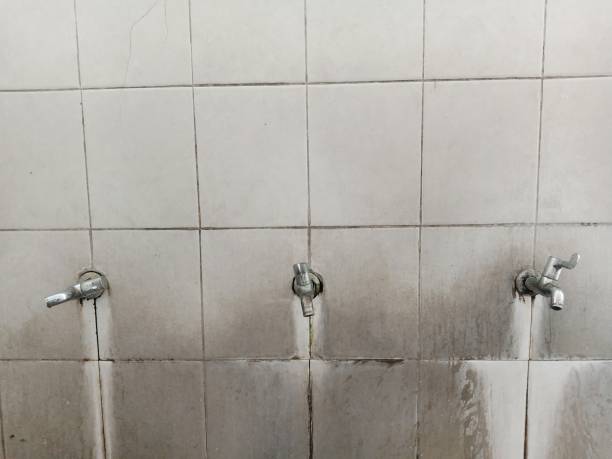 Best Water damage restoration near me  in Santa Teresa, NM