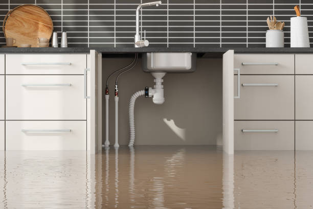Best Carpet water damage restoration  in Santa Teresa, NM