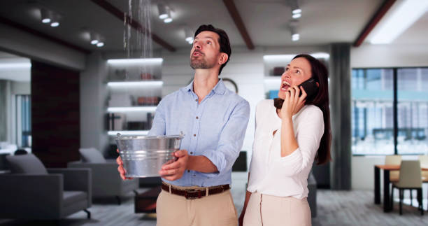 Best Water damage contractors near me  in Santa Teresa, NM