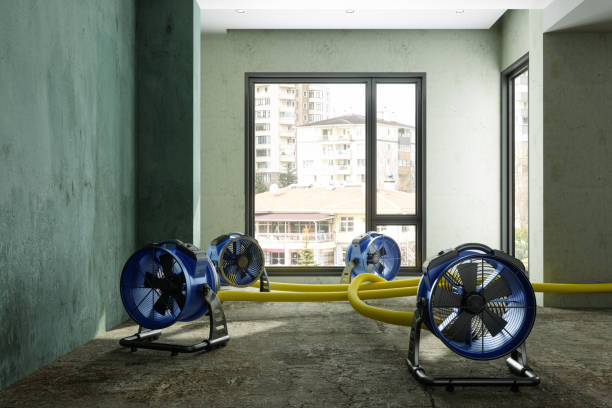 Best Water damage restoration specialists  in Santa Teresa, NM